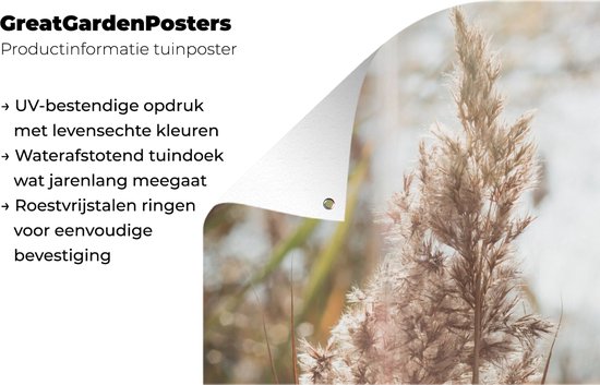 Affiche jardin - Pampa - Herbe de la pampa plante de jardin - Plante - Nature - Rose - 120x180 cm - Affiche clôture - Jardin - Décoration murale - Décoration Décoration de jardin - Toile jardin - Affiche extérieur