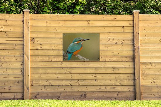 Tuinposter 80x60 cm - Tuindecoratie IJsvogel - Dieren - Vogel - Poster voor in de tuin - Buiten decoratie - Schutting tuinschilderij - Tuindoek muurdecoratie - Wanddecoratie balkondoek