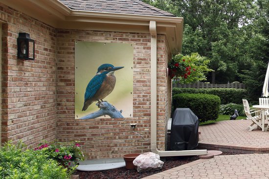 Affiche de Jardin Martin-pêcheur - Branche - Vogel - 200x200 cm - Toile de jardin