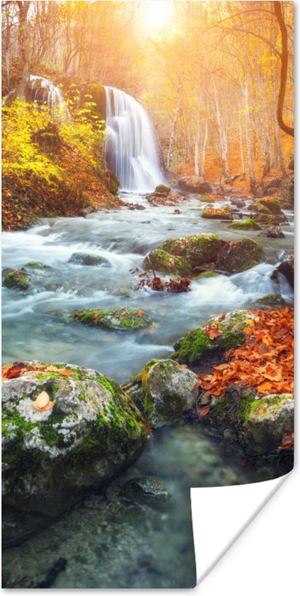 Affiche Nature - Soleil - Automne - 75x150 cm