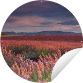 Tuincirkel Frankrijk - Lavendel - Avond - 120x120 cm - Ronde Tuinposter - Buiten XXL / Groot formaat!