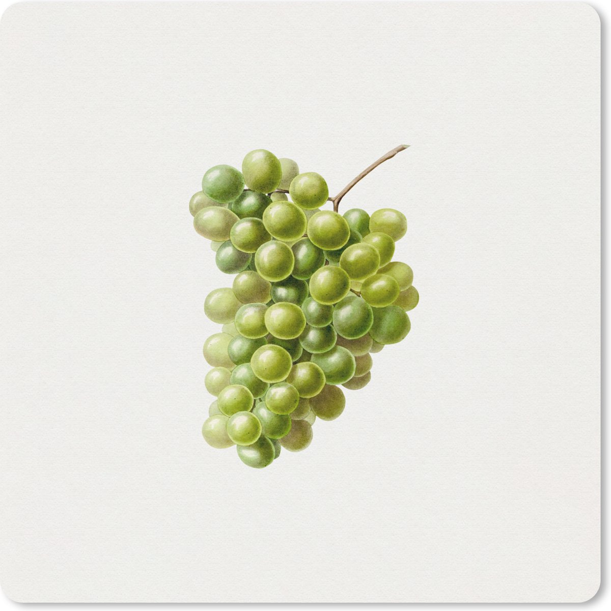 Muismat 30x30 cm - Mousepad Druiven - Fruit - Groen - Muismatten