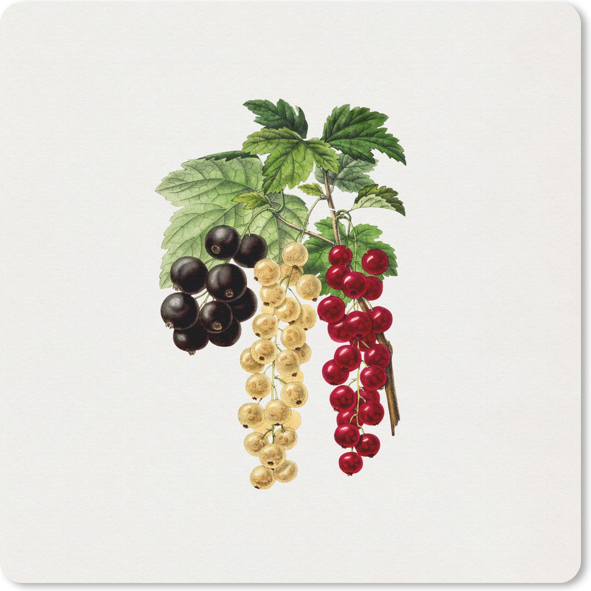 Muismat 30x30 cm - Mousepad Bessen - Eten - Plant - Muismatten