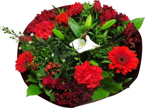 Biedermeier - Rouge - [L] - Bouquet de Fleurs Fraîches - ↨ 45cm - ⌀ Grand  Bouquet - [... | bol.com