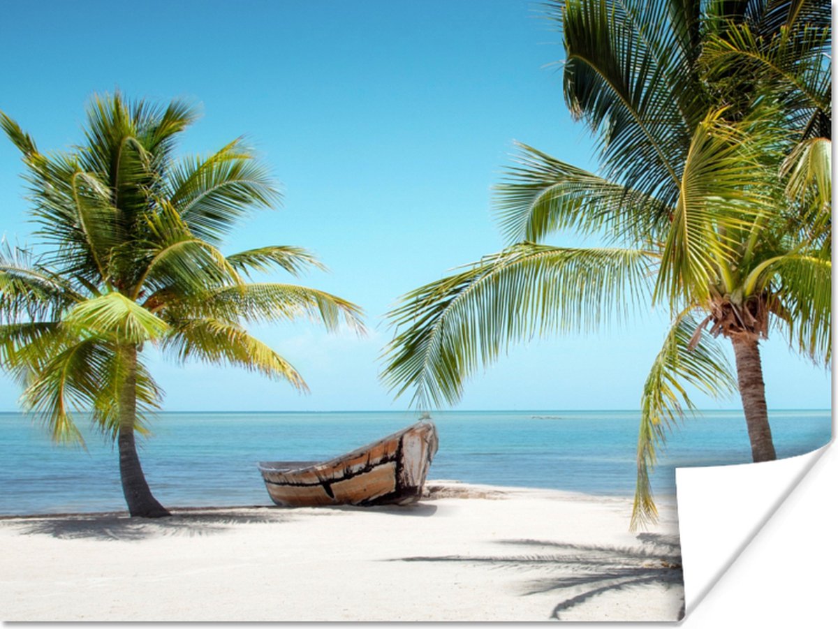 Poster Palmboom - Boot - Strand - 40x30 cm