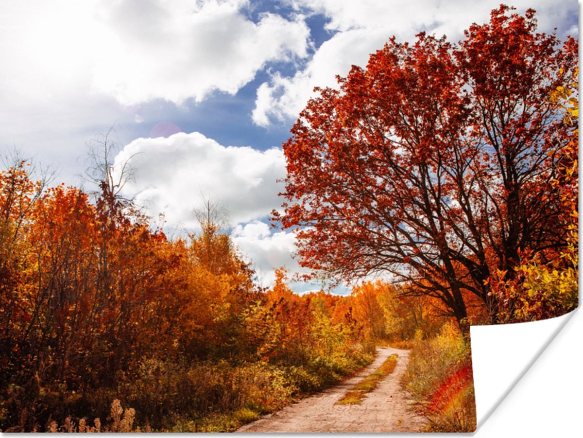 Poster Boom - Pad - Herfst - 40x30 cm