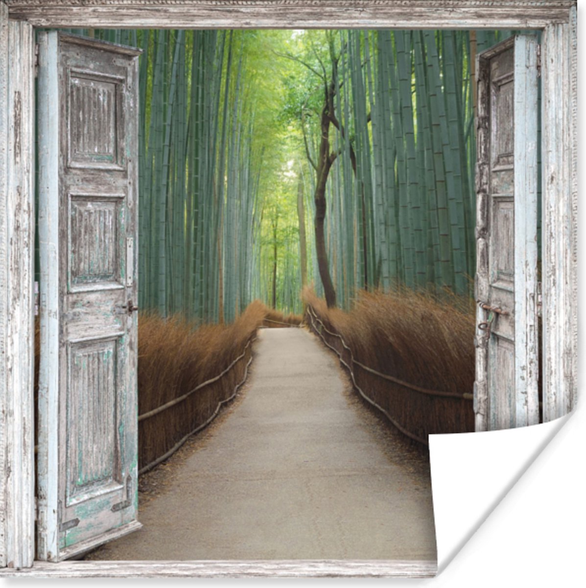 Poster Bamboe - Japan - Doorkijk - Bos - 50x50 cm
