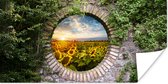 Poster Tournesols - Vue - Fleurs - Soleil - 40x20 cm