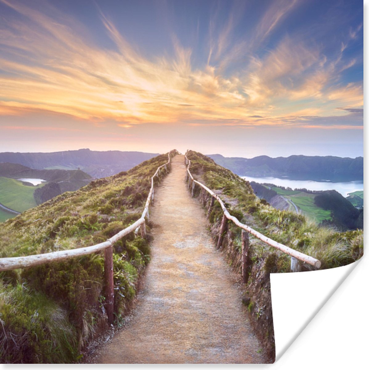 Poster Bergen - Natuur - Pad - 75x75 cm