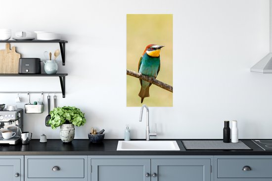 Affiche Vogels - Animaux - Guêpier - 40x80 cm