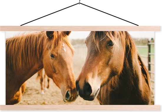 Porte-affiche avec affiche - Affiche scolaire - Cheval - Plage - Animaux - 150x75 cm - lattes vierges