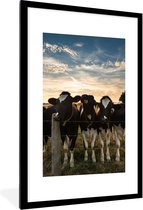 Fotolijst incl. Poster - Dieren - Koe - Koeien - 80x120 cm - Posterlijst