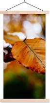 Porte-affiche avec affiche - Affiche scolaire - Beuk - Automne - Feuilles - 60x120 cm - Lattes vierges