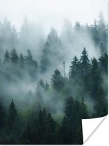 Affiche Brouillard - Arbres - Forêt - 30x40 cm