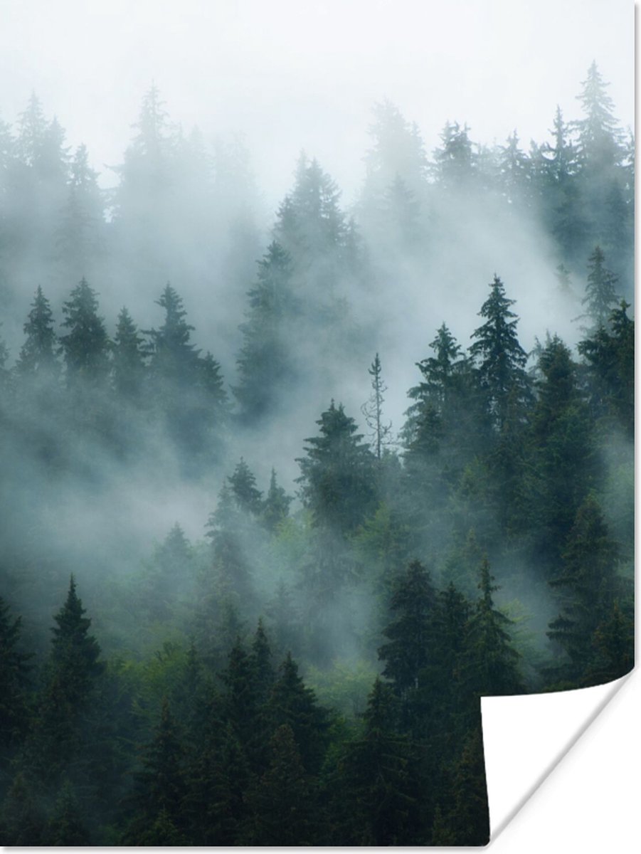 Poster Mist - Bomen - Bos - 30x40 cm