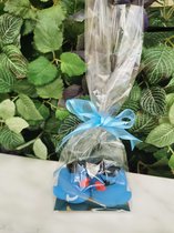 Geschenkpakketje van 2 schattige blauwe badeendjes piraat, in het water geven ze licht