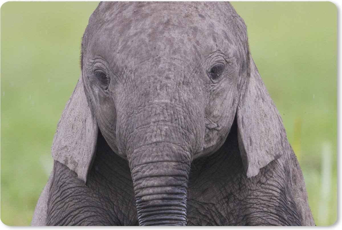 Muismat XXL 90x60 cm - Bureau onderlegger - Bureau mat Olifant - Baby - Dieren - Gras - Natuur - Bureaumat - Gaming mousepad xl - Bureaulegger groot - Computer deskmat