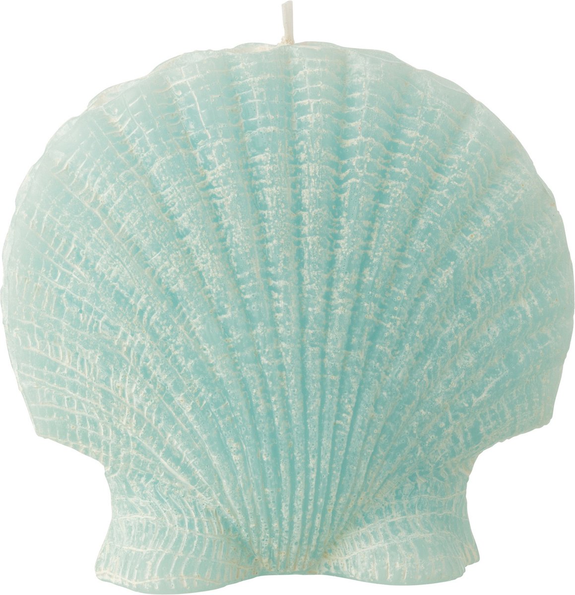 J-Line kaars Schelp - azuur - large - 8U