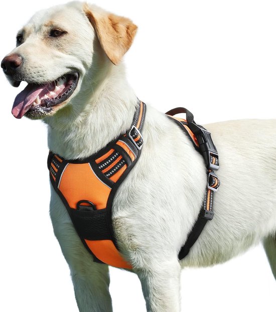 COODEO Hond Draag Sling, Noodrugzak Huisdier Benen Ondersteuning & Rehabilitatie Hond Heffharnas, Hondendrager voor Oude Honden met Gewrichtsblessures, Artritis, Op en Neer Trappen (XL, blauw
