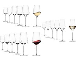 Wein- und Champagnergläser Cocoon Set van 18
