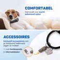 Een hond slaapt op een kussen met een zwarte halsband. Close-up van accessoires: een zilverkleurige pootafdrukbedel en een kleine zilverkleurige cilinder.