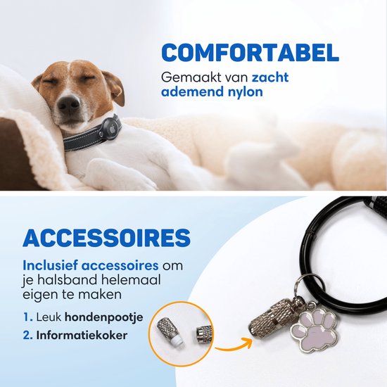 Een hond slaapt op een kussen met een zwarte halsband. Close-up van accessoires: een zilverkleurige pootafdrukbedel en een kleine zilverkleurige cilinder.