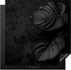 Zwart, Monstera blad