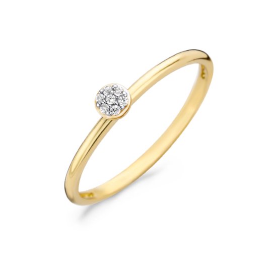 Blush 14 Karaat Gouden Ring (Maat: 50) - Goud