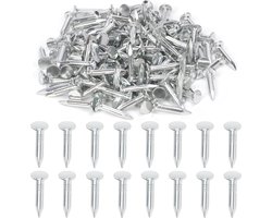 300 Stks 1 Inch Hoge Kwaliteit Gegalvaniseerde Dakbedekking Vilt Nagels - Dakvilt Nagels Asfalt Gordelroos - Isolatie Board Bevestigen .
