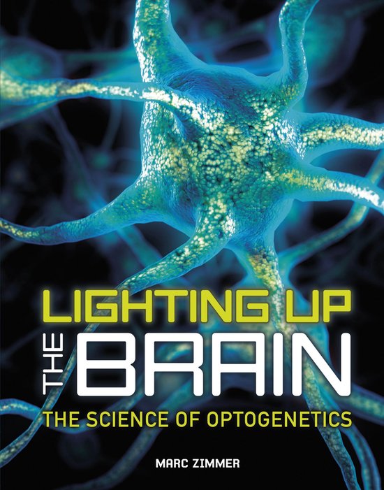 Lighting Up the Brain - cover