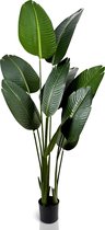 IvoQ Strelitzia Kunstplant 160 cm - Realistisch & Onderhoudsvrij