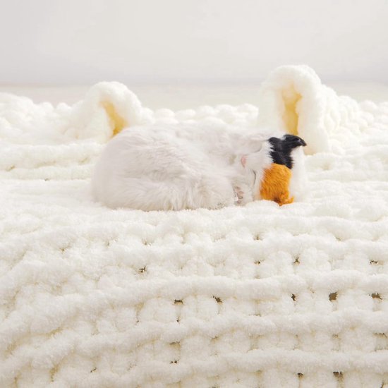 Cottonblue Gewogen deken 15 kg Queen Size, flanellen Shaggy Sherpa verzwaarde deken voor volwassenen comfortabele gewogen dekens voor kalmeren en ontspannen, bedbank zware dekens, 152 x 203 cm, groen