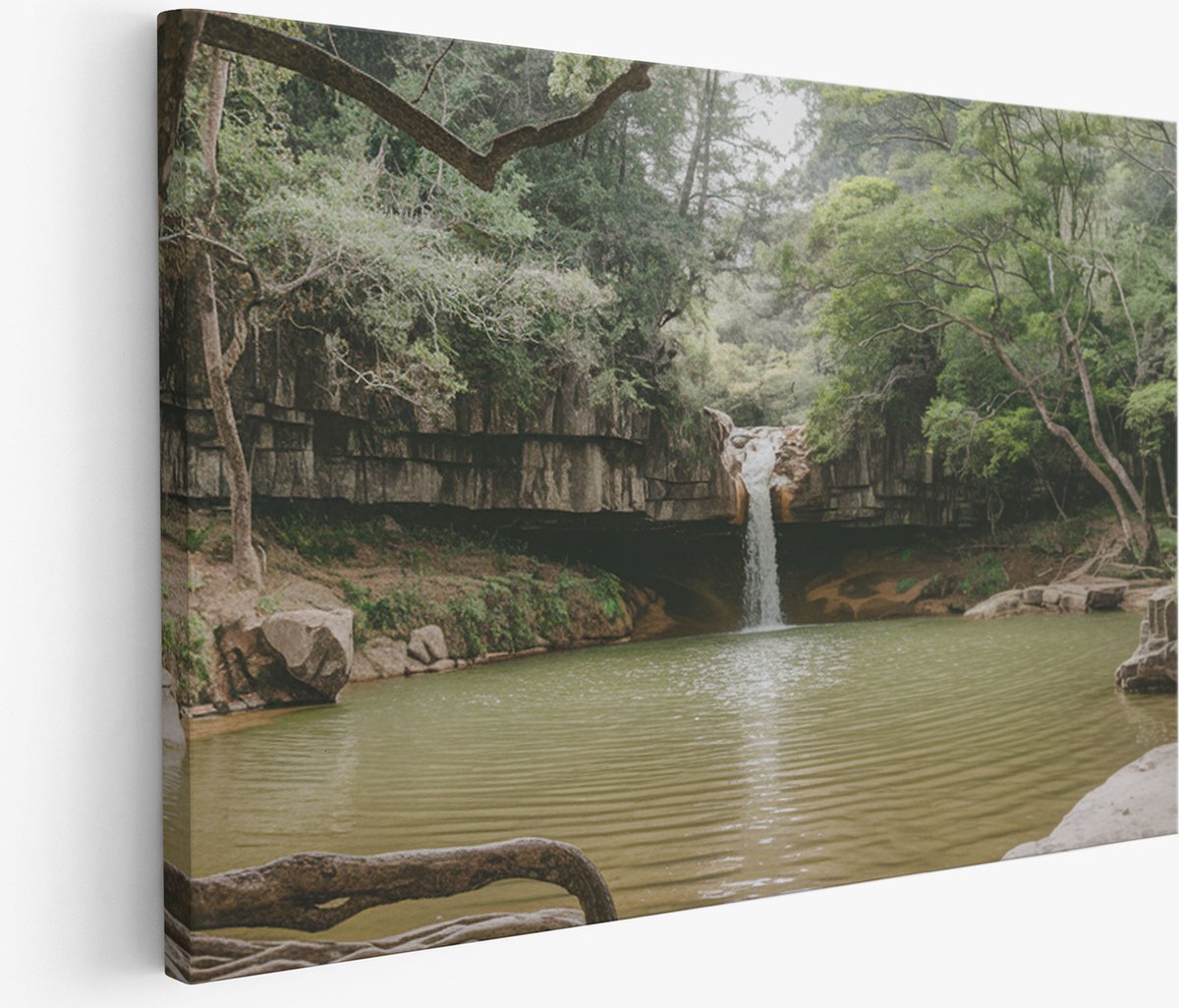 Saammp Muurcirkel Hout - Luipaard tussen de struiken - Natuur - Dieren - Ø 90 - Wandcirkel - Wanddecoratie Cirkel - Muurdecoratie Woonkamer - Slaapkamer decoratie - Rond Schilderij