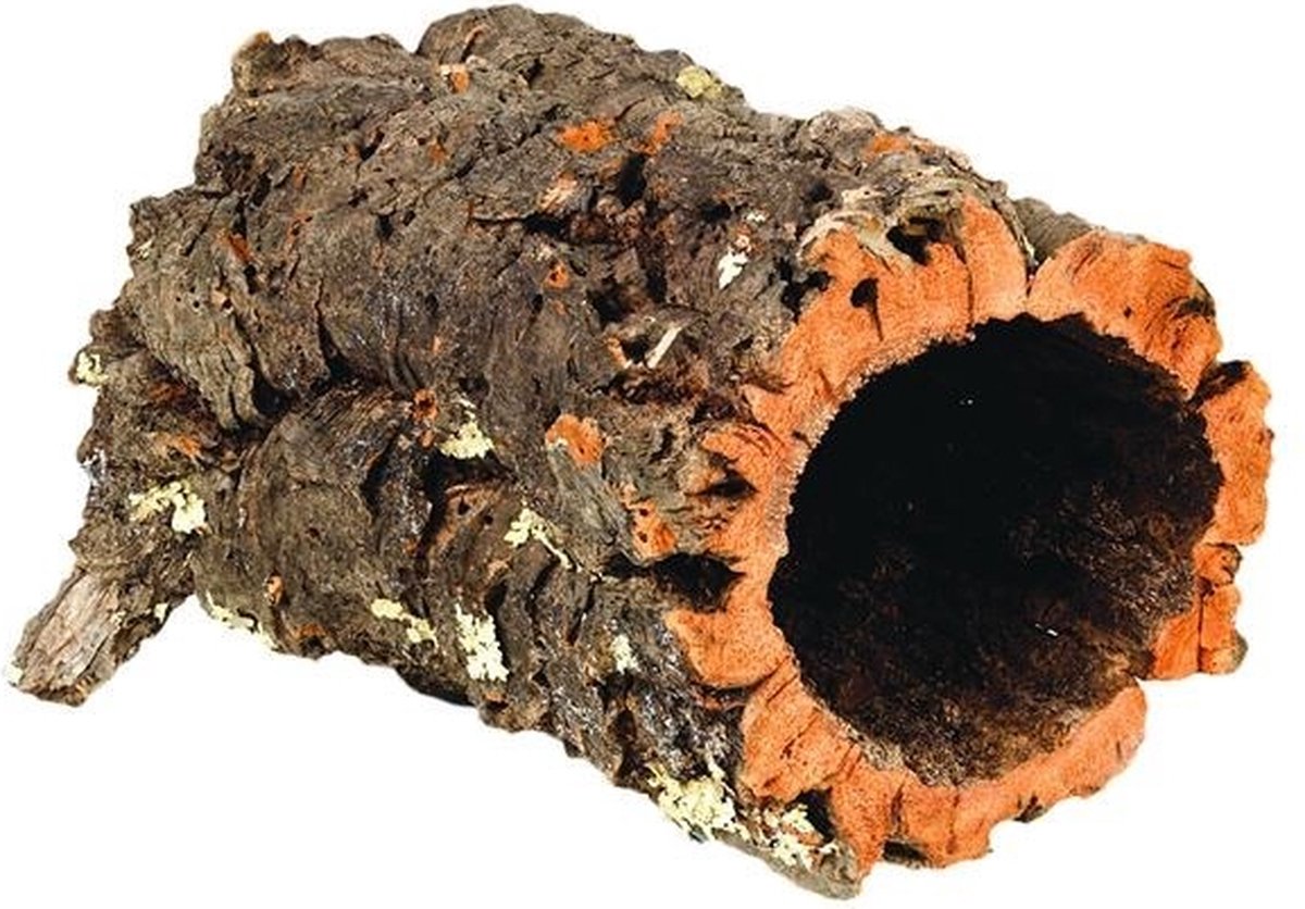 HabiStat Kurk buizen 1KG | Natuurlijke schuil en klimplekken voor terrariumdieren Klein