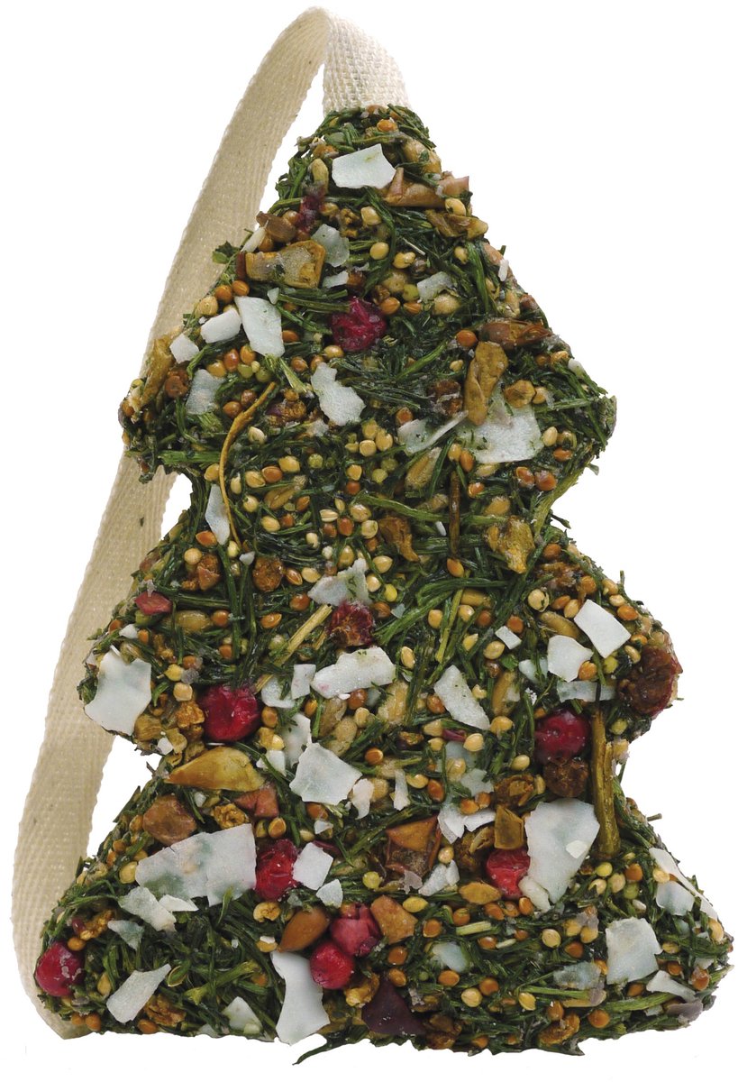 Festive Fruit Kerstboom Knaagdier Snack - Knaagdierensnack - 11,5 cm