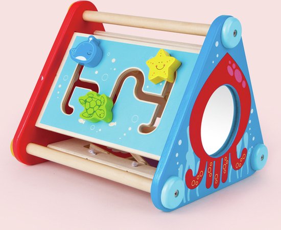 Hape Houten Activiteitenbox