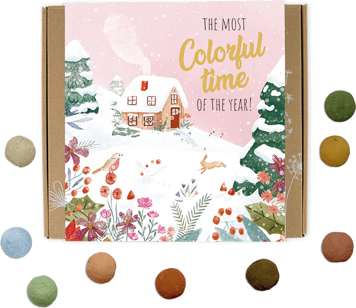 Blossombs Bloembommetjes Giftbox Medium - 9 Zaadbommetjes - The Most Colorful Time of The Year!