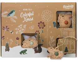 Blossombs Bloembommetjes Adventskalender Kerst - 7 Zaadbommetjes - Kerstcadeau