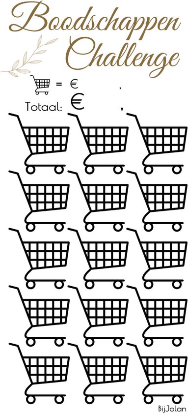 003 Cash Stuffing Challenge Kaarten - 10 stuks - Gelamineerd - BijJolan - Budgetplanner - Spaar Challenge kaarten