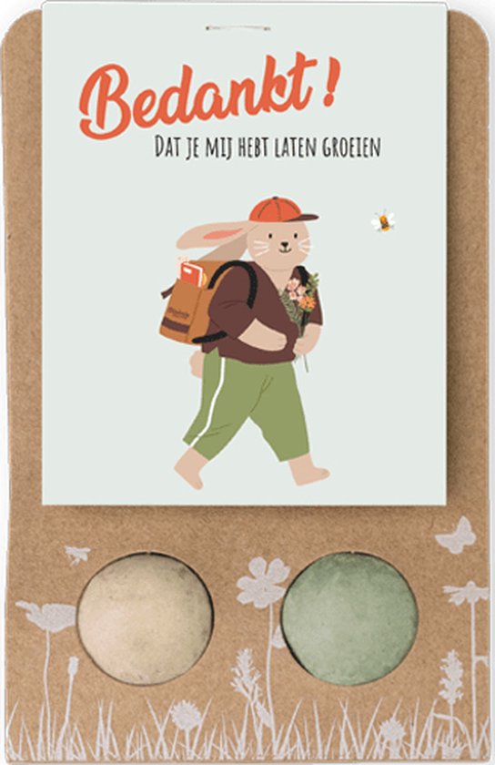 Blossombs Bloembommetjes Weggeefcadeautje - 2 Zaadbommetjes - Bedankt - Bos Bloemen Cadeau