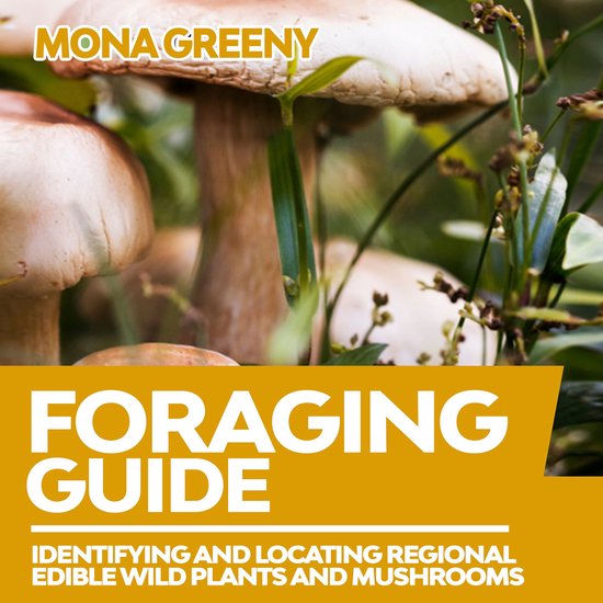 Foraging Guide - cover