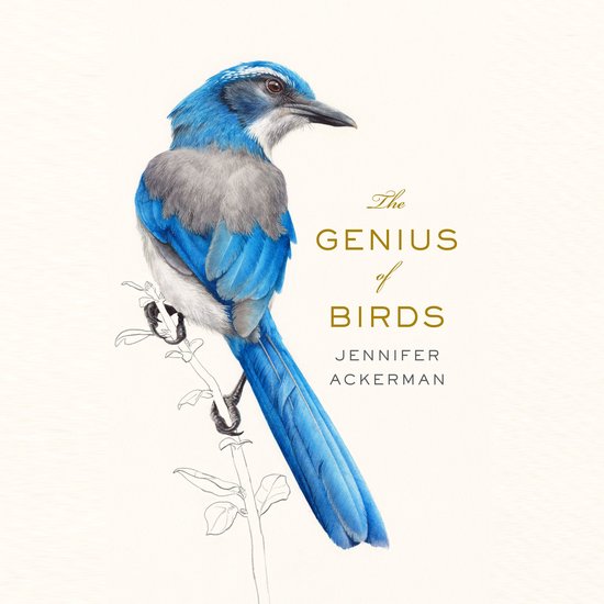 The Genius of Birds - cover