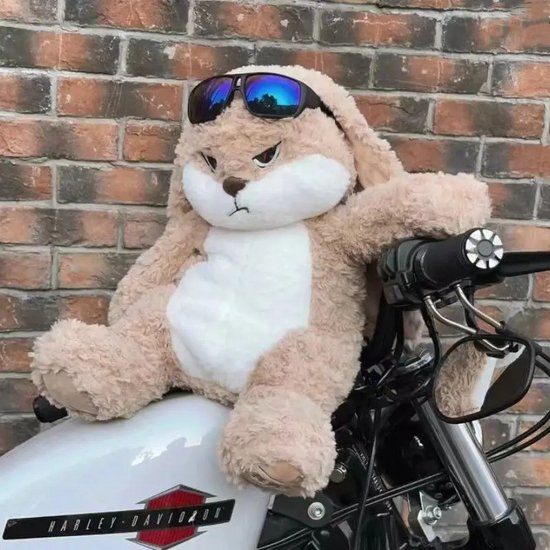 Nijntje Pluchen Knuffel Aanbieding bij Kruidvat