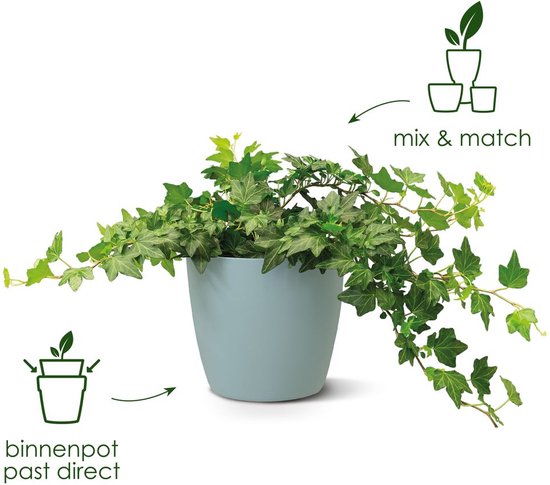 Elho Brussels Rond 20 - Pot De Fleurs pour Intérieur - Plastique 100% recyclé - Ø 20.0 x H 18.7 cm - Anthracite