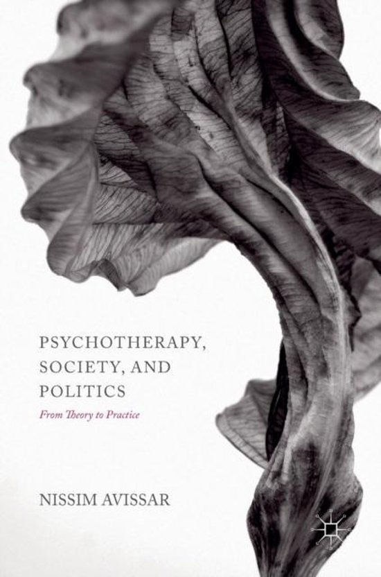 Psychotherapy Society and Politics - cover