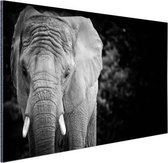 Wanddecoratie Metaal - Aluminium Schilderij Industrieel - Portret van een olifant in zwart-wit - 180x120 cm - Dibond - Foto op aluminium - Industriële muurdecoratie - Voor de woonkamer/slaapkamer