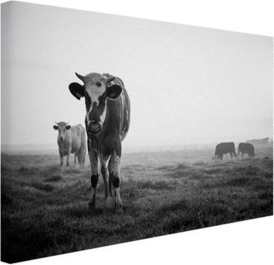 Edelsteen slikken ambitie Koeien in de ochtendmist zwart-wit foto Canvas 90x60 cm - Foto print op  Canvas... | bol.com