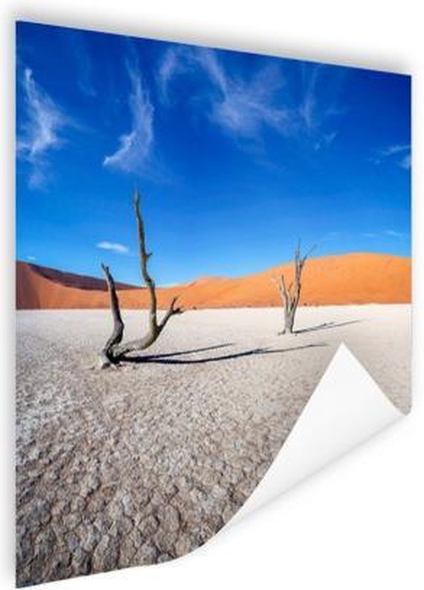 Poster Oude bomen in de woestijn - 75x75 cm
