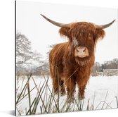Highlander écossais en hiver Aluminium 90x90 cm - Tirage photo sur aluminium (décoration murale en métal)