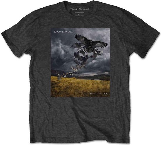 David Gilmour Tshirt Homme -S- Rattle That Lock Gris bol